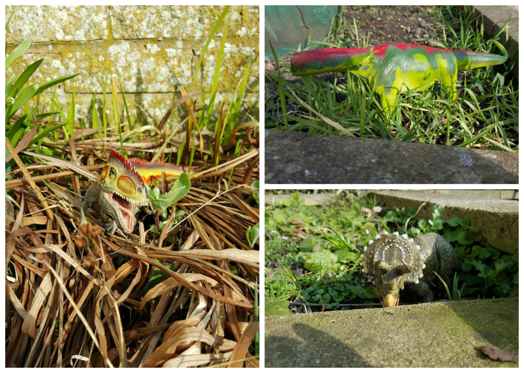 dinosaur party - hidden dinosaurs 