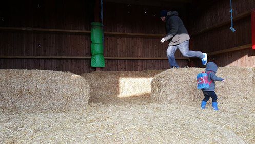 Pink Pig Farm - jumping hay bales