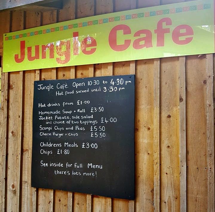 Jungle Cafe, Jungle Cafe at Amazona, cafe at Amazona