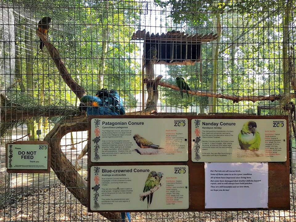 Signage, signage at Amazona, birds, birds at Amazona