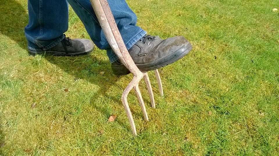 garden fork, digging a garden