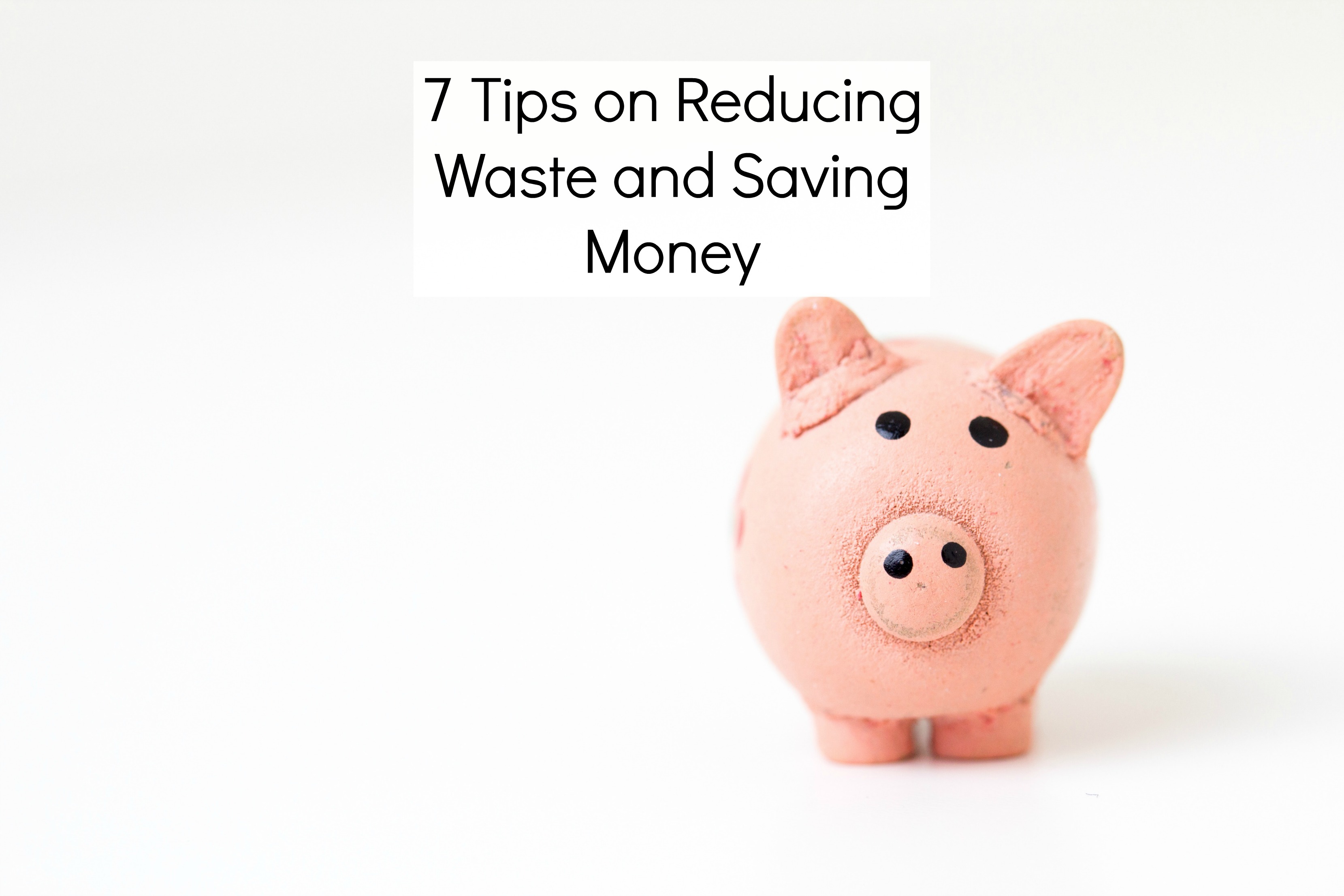 7 Tips on Reducing Waste and Saving Money Stacey in the Sticks