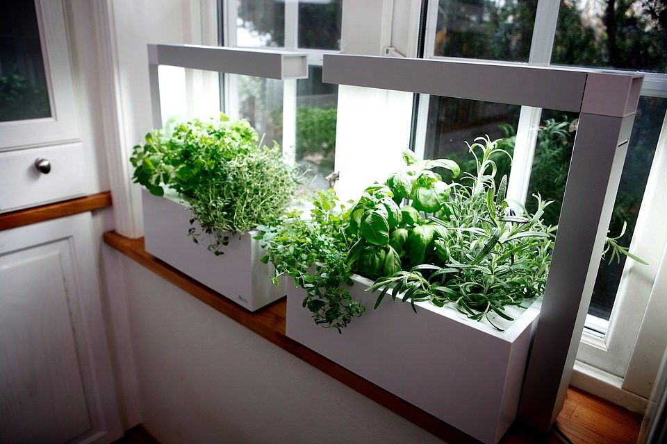 Herb Conservatory Hydro System Growing Herbs Gift