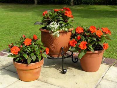 Garden plant pots