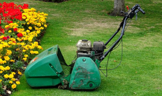 gardening-power-lawnmower