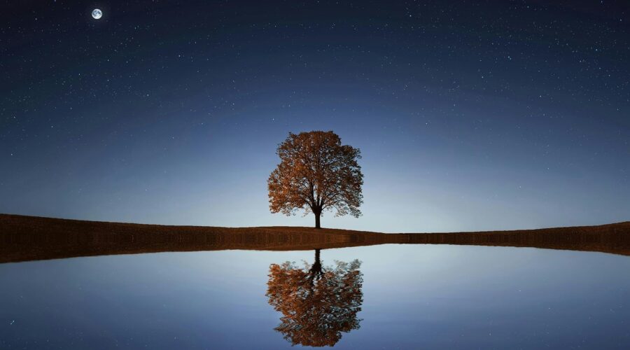 Reflections on 2012