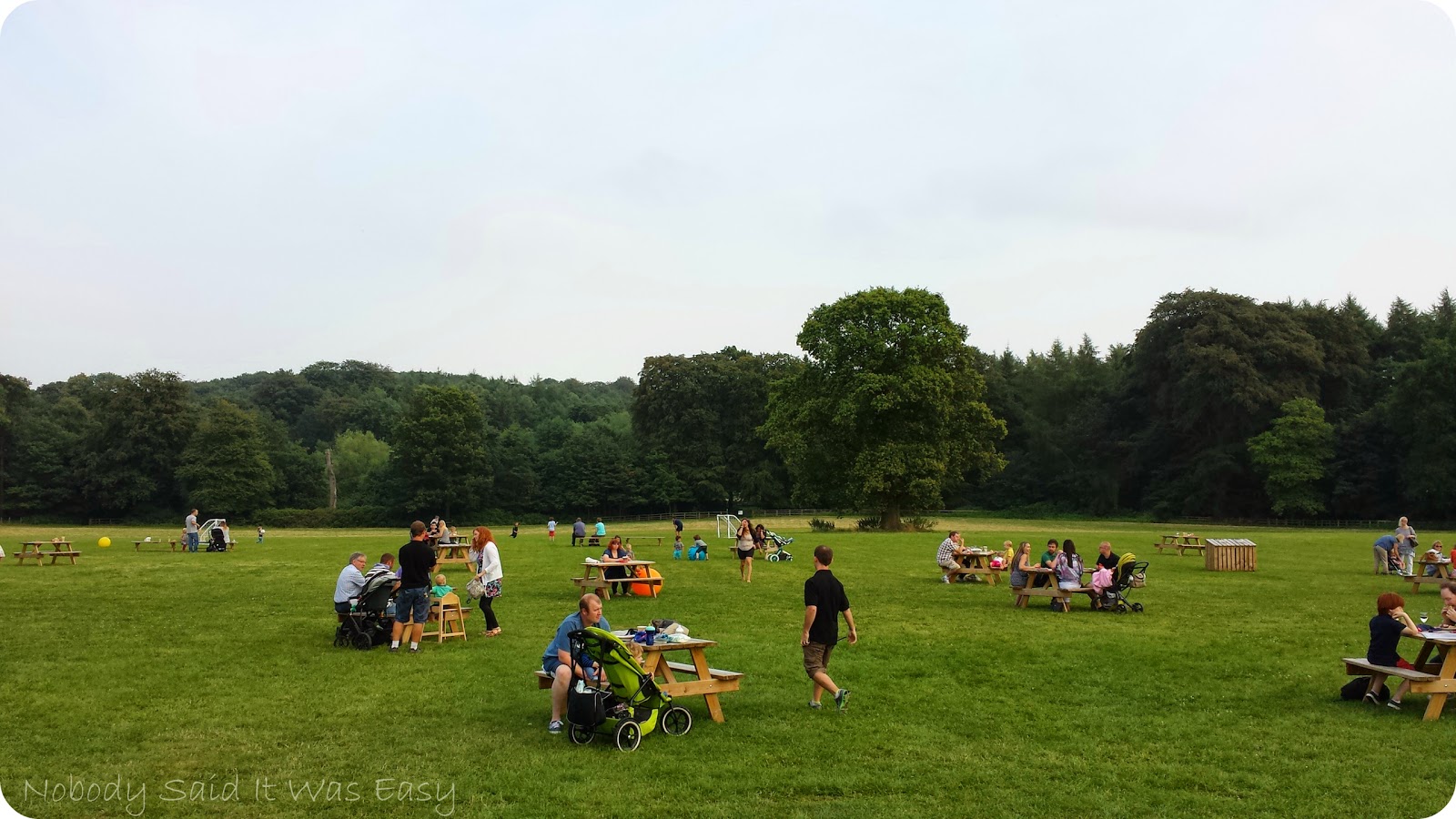Picnic and grassy area at Stockeld Park