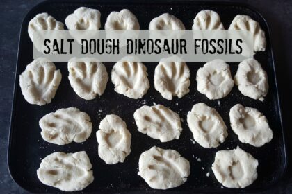 Salt dough dinosaur fossils