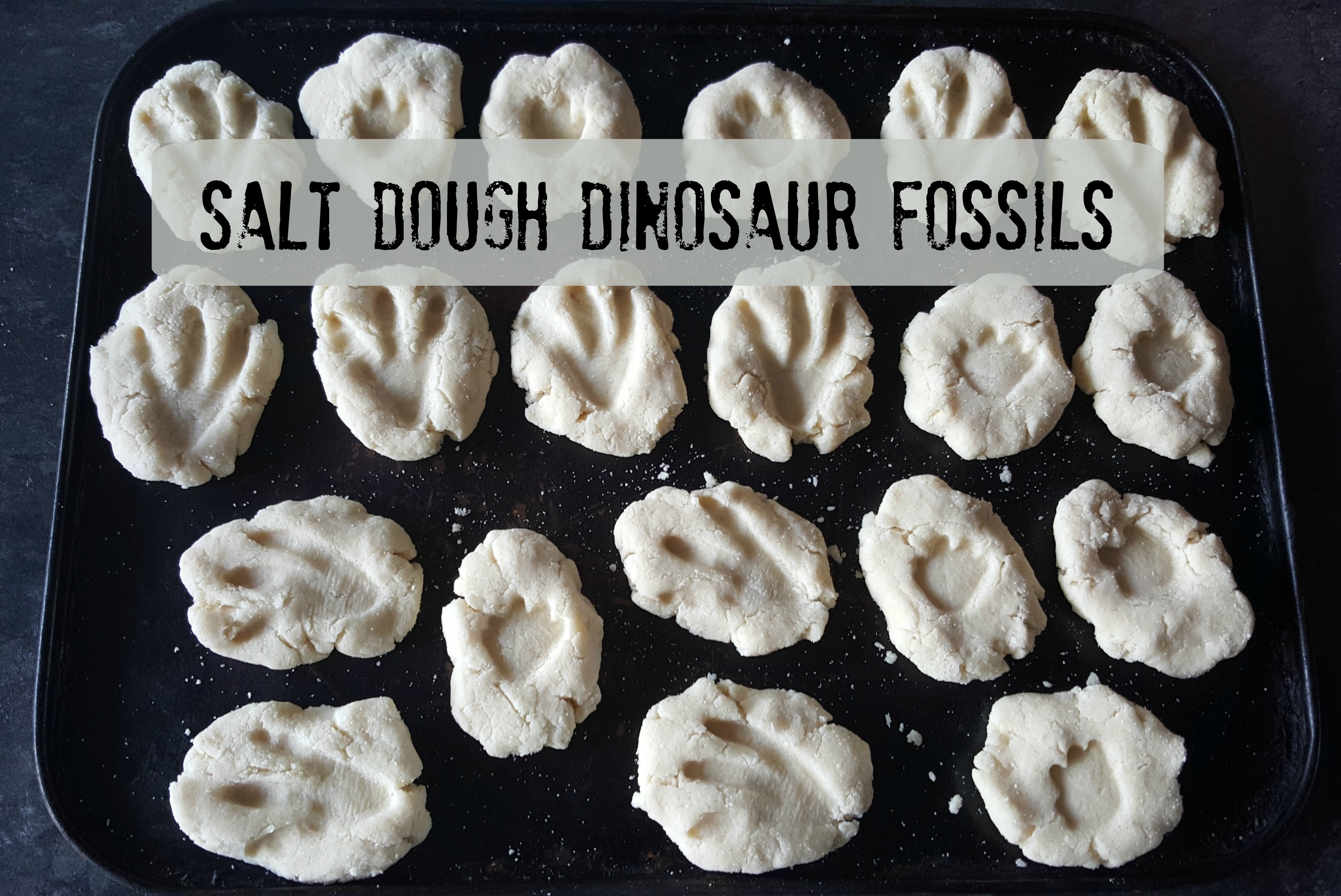Salt dough dinosaur fossils