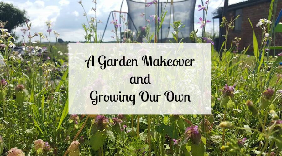 Garden makeover