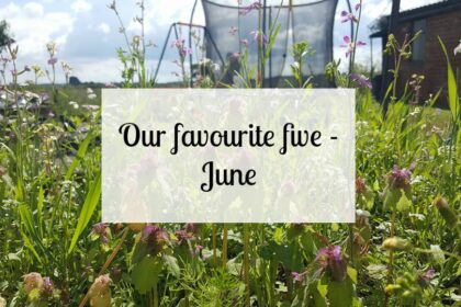 Our favourite five - June
