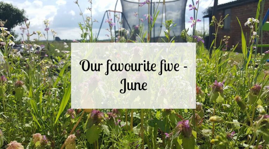 Our favourite five - June