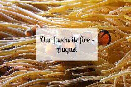 Our favourite five - August