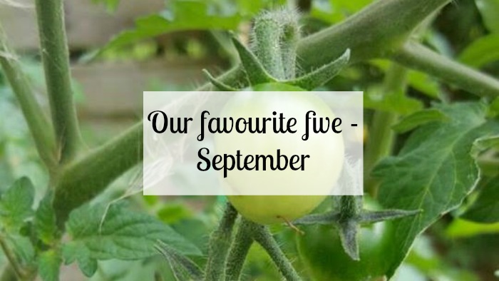 Our favourite five - September