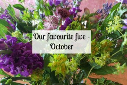 Our favourite five - October