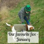Our favourite five - January