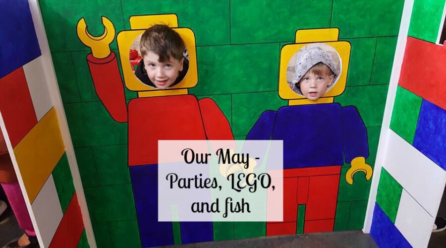 Our May - Parties, LEGO and fish