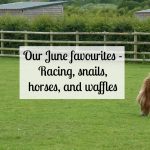 Our June favourites