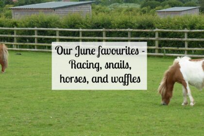 Our June favourites