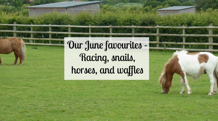 Our June favourites