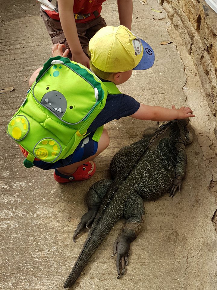 Toddlepak Backpack - stroking iguanas