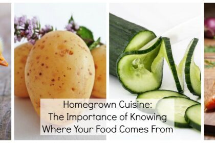 Homegrown Cuisine The Importance of Knowing Where Your Food Comes From