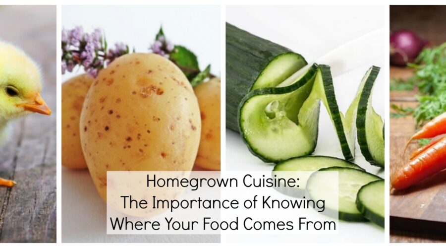 Homegrown Cuisine The Importance of Knowing Where Your Food Comes From