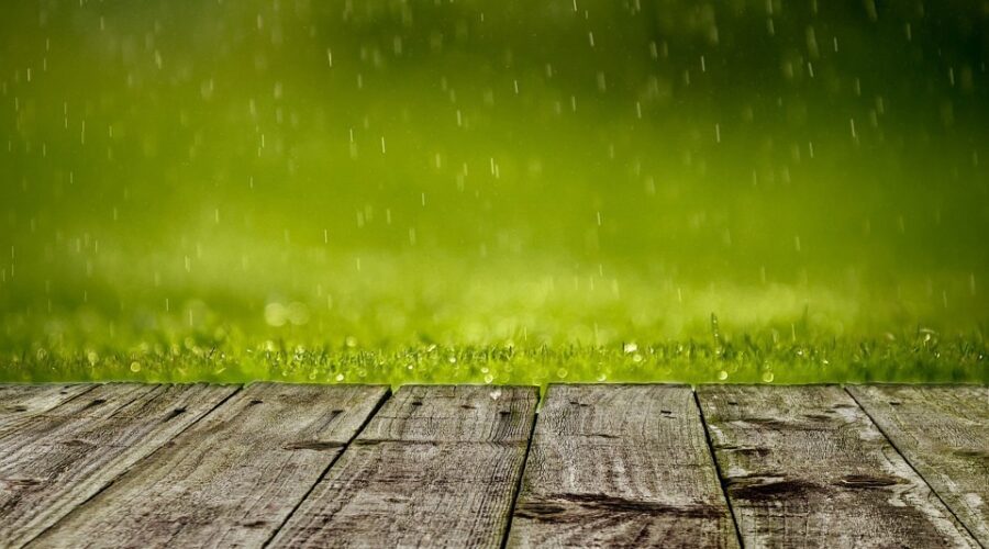 Before The Flood - Tips For A Waterlogged Garden