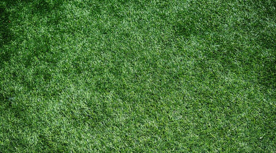 Artificial grass