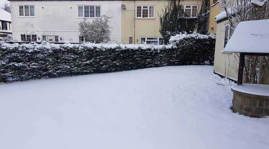 Snow, snow day