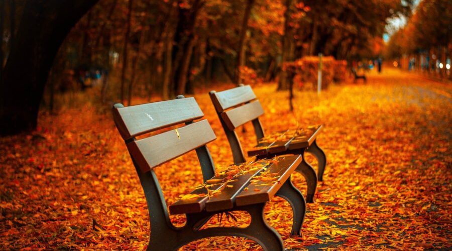 Getting Prepared For Autumn