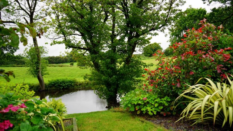 Blooming countryside