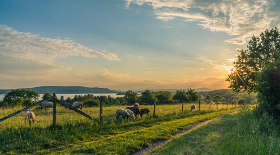 Country living