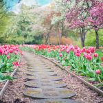 Six Ways To Beautify Your Garden In The Spring