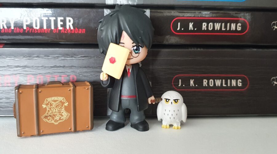 Magical Capsules contents (Harry Potter figure, briefcase, and Hedwig) on shelf in front of Harry Potter books