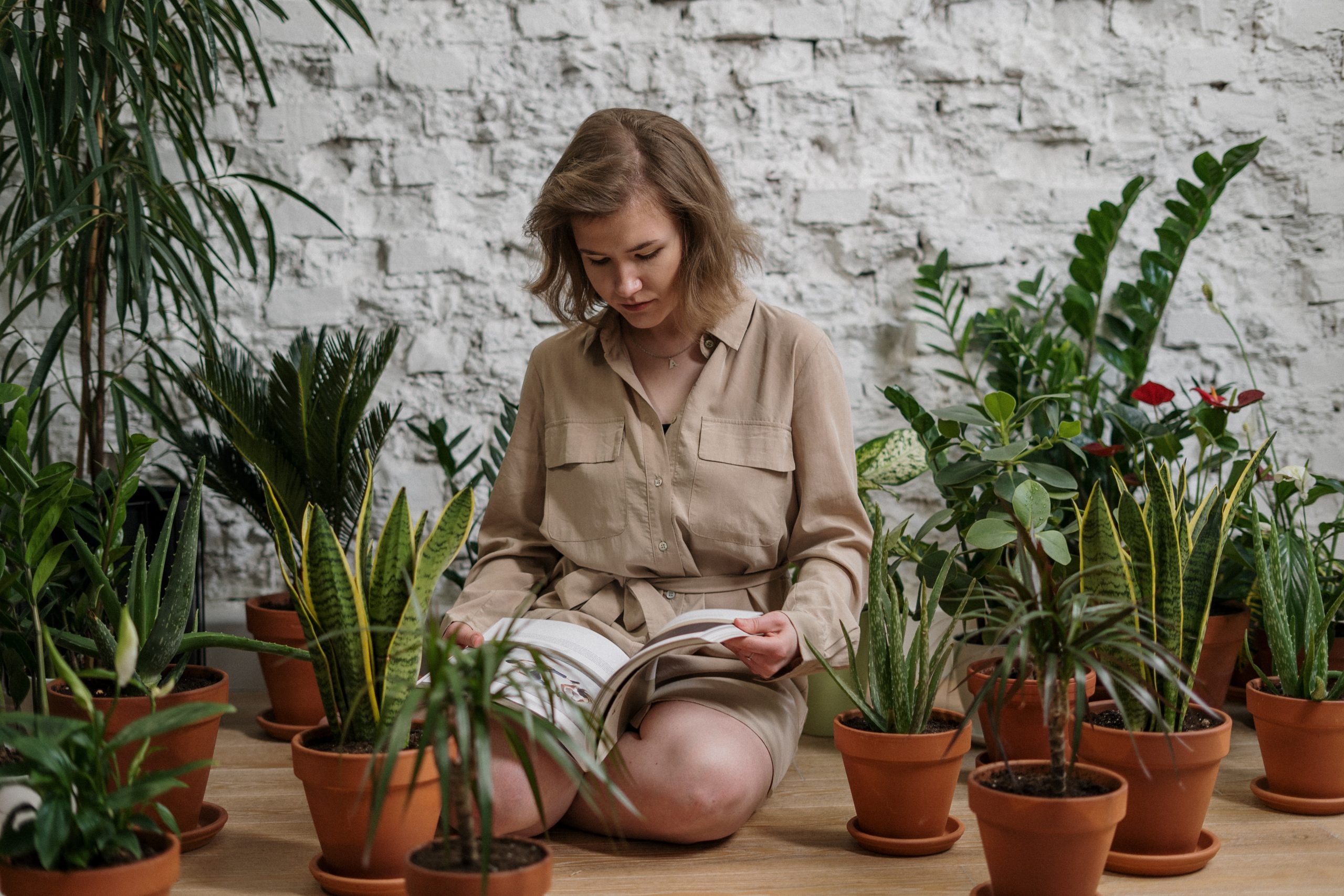 Woman reading book near potted plants