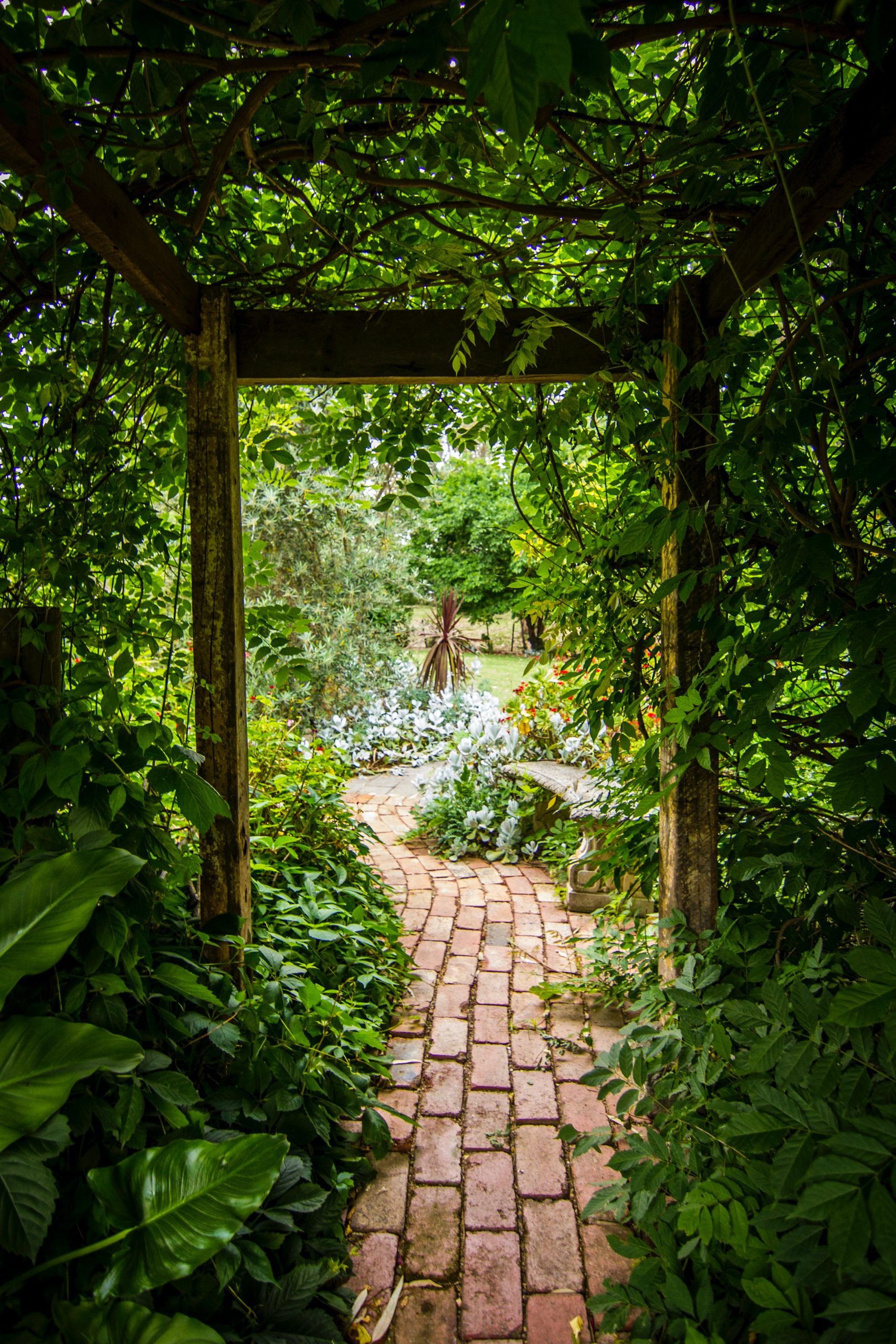 pathway through garden greenery; How To Make Your Yard More Functional