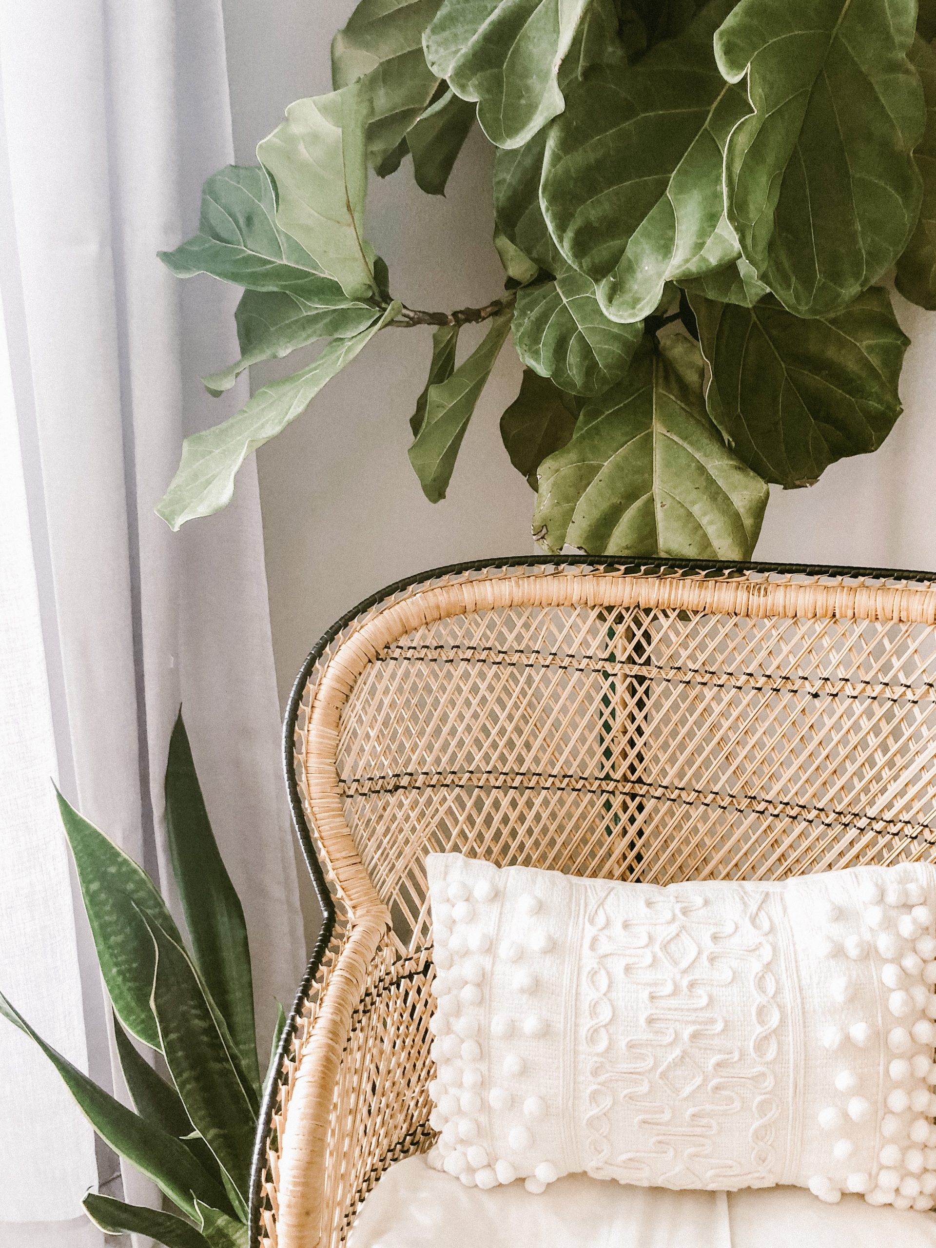 large green plant behind wicker chair; Interior Design Trends You're Likely To See In 2022