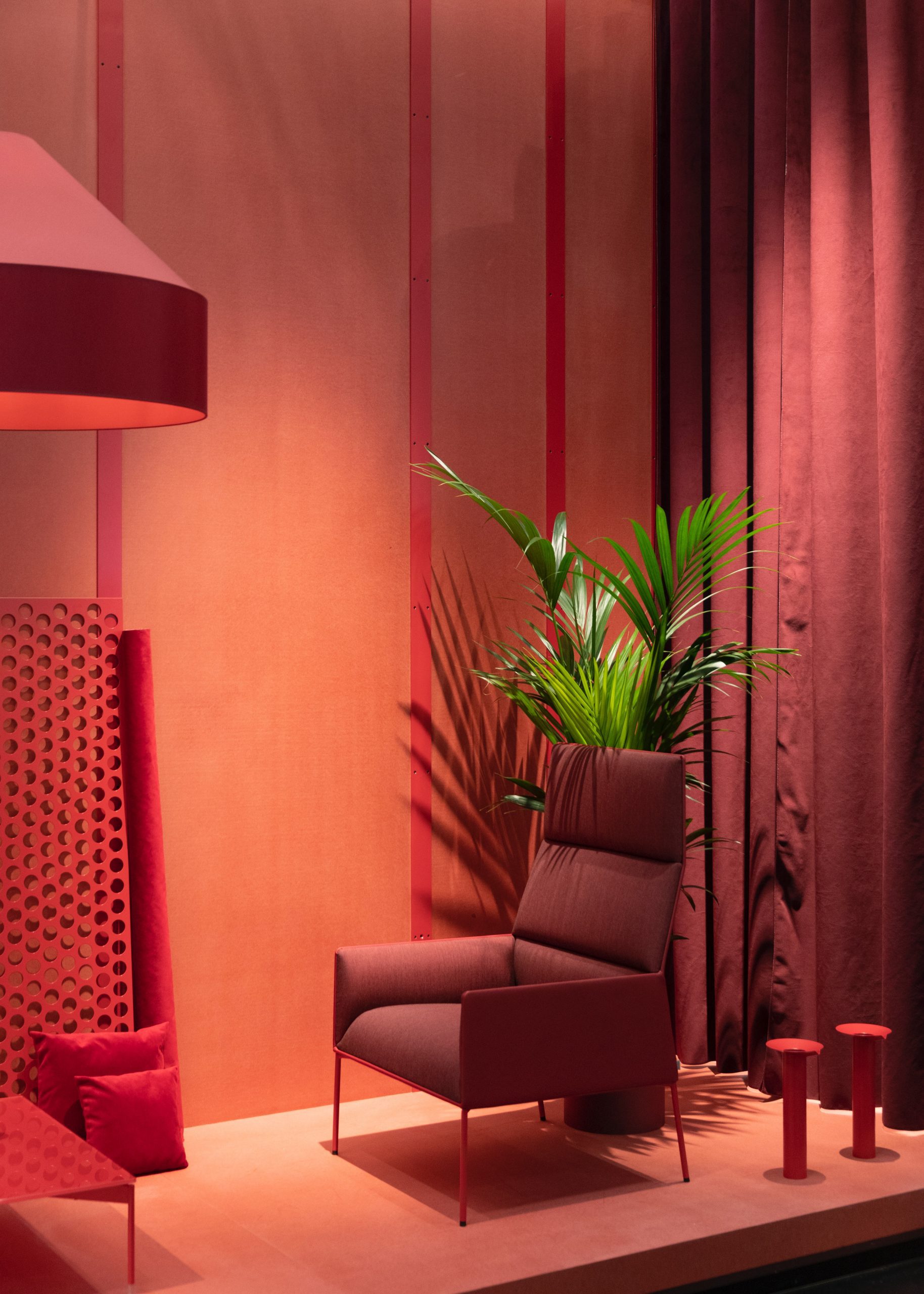 green plant in a room with red furnishings 