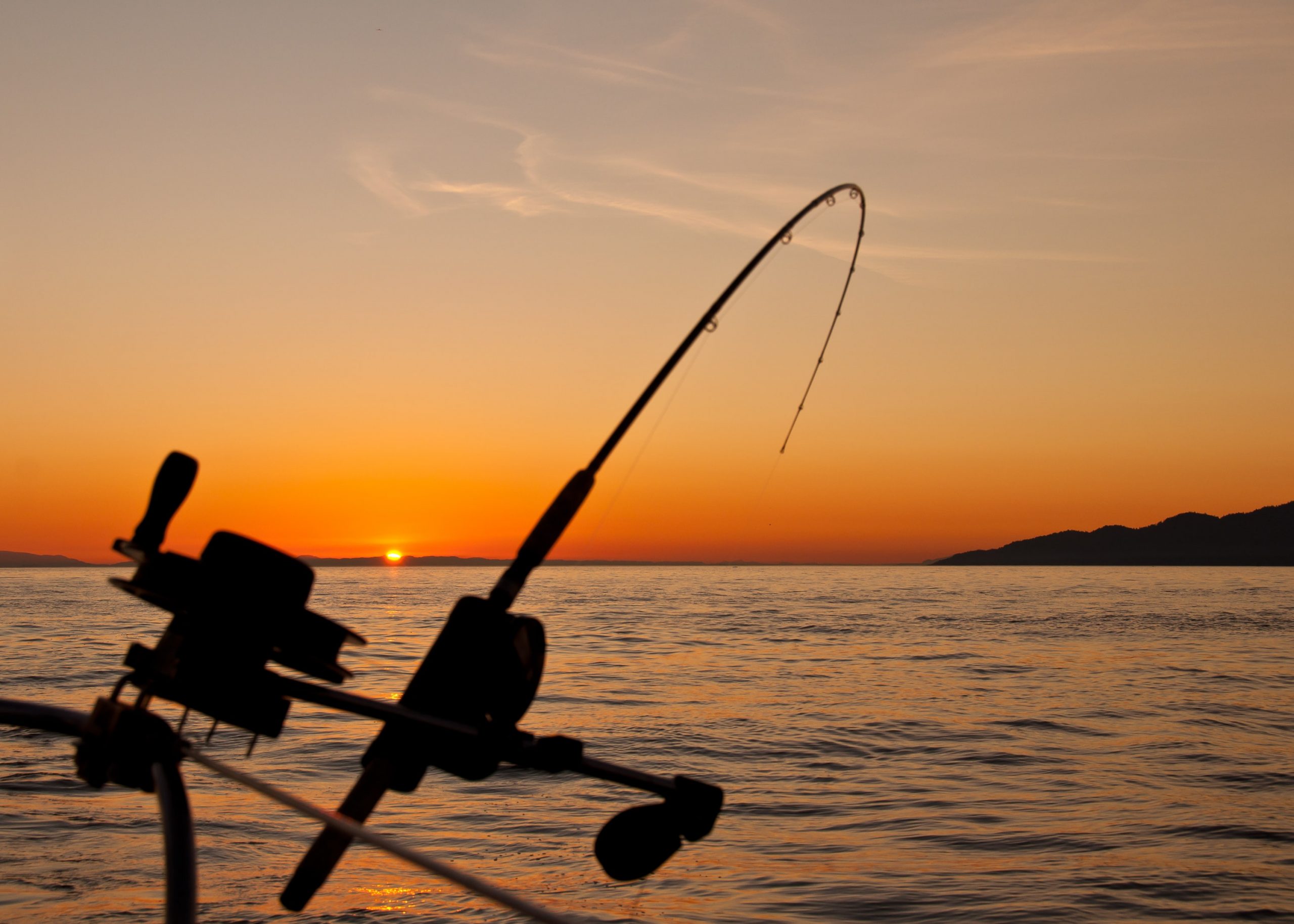 silhouette of a fishing rod on a sunset; What To Do If You Get Injured While Fishing