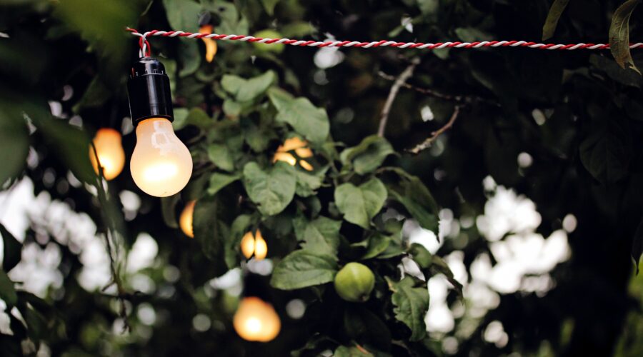 a string of bulb lights hanging in front of garden greenery; 5 Tips for Lighting Up Your Garden