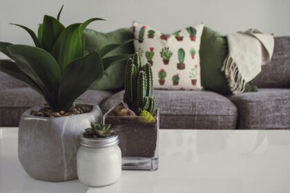 Make Your Home Feel Incredible While On A Budget