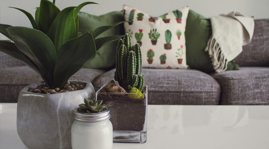 Make Your Home Feel Incredible While On A Budget