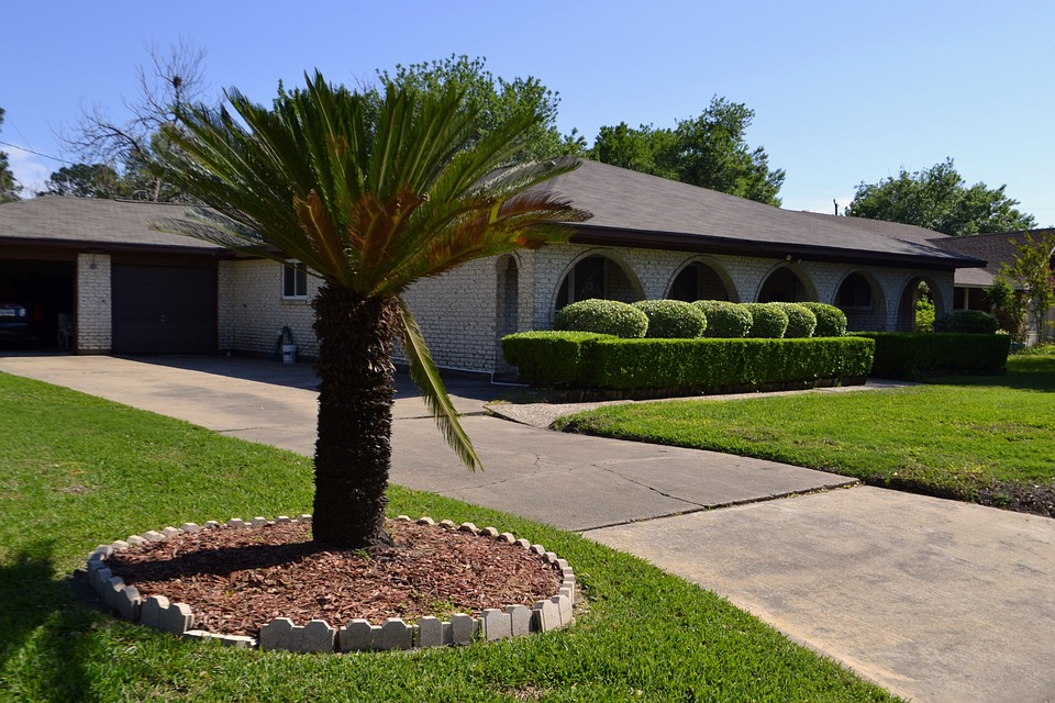 a view of the outside of a white one storey house in the background, and a large palm style tree in the foreground; Looking to Create an Aesthetically Pleasing Curb Appeal; Follow These Expert Tips
