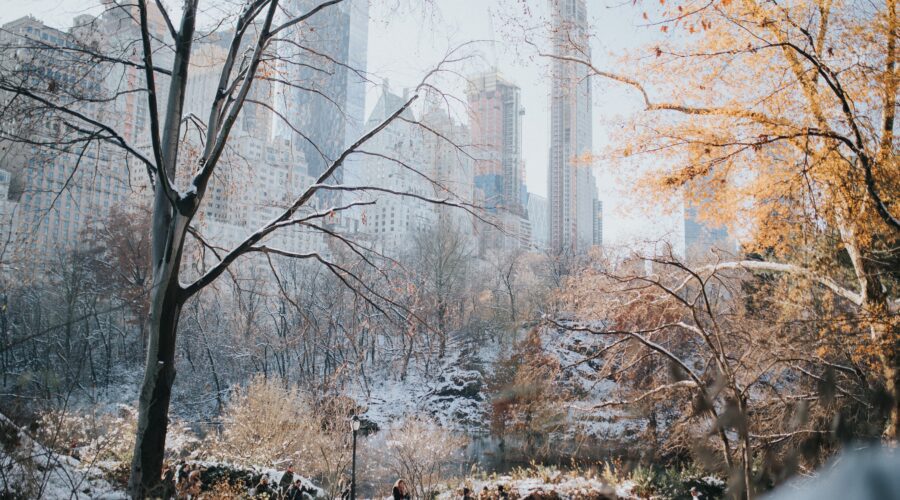an aerial shot of a group of people walking in a snow covered Central Park in New York; Chasing Frosty Adventures: A New Yorker’s Winter Guide