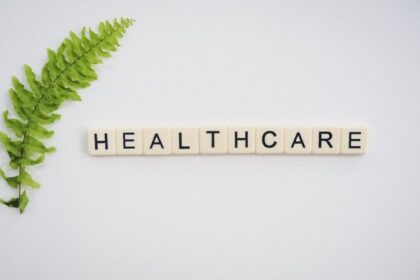 Scrabble tiles spell out the word Health care on a plain grey background. There is a green fern leaf to the left of the word