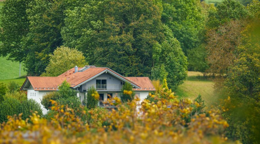 scenic view of a countryside home with trees in the foreground and background; Things to Consider when Buying a Rural Property
