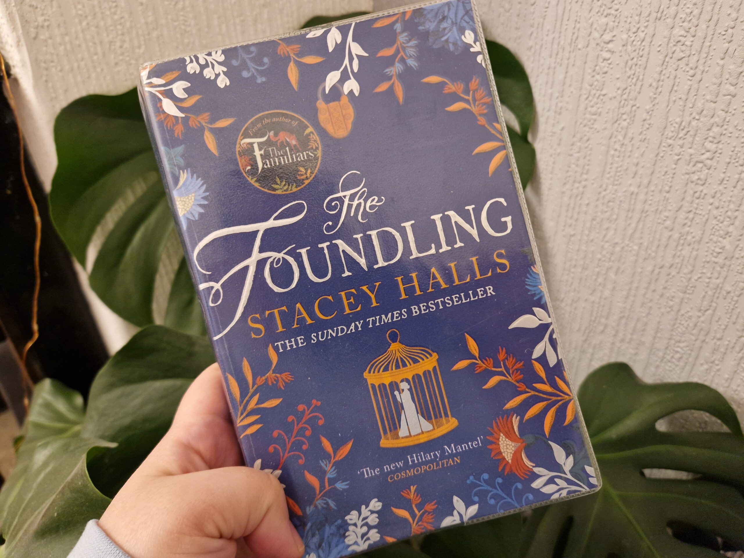 the photo shows part of a hand holding a paperback of the book The Foundling by Stacey Halls. In the background is a large green plant

The Foundling by Stacey Halls