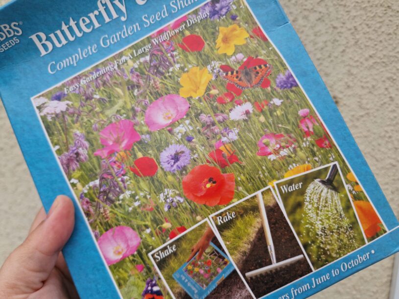 A box of butterfly and bee wildflower seeds. The box is blue with a photo of the possible flowers on the front.