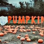 A large sign made out of individual orange letters saying PUMPKINS with a sheet ghost next to it